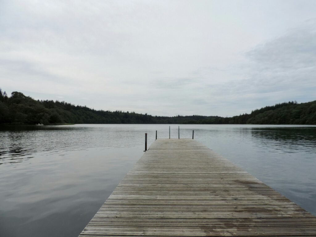 Wooden dock extending into a calm freshwater lake with still water and tree-lined shoreline under an overcast sky