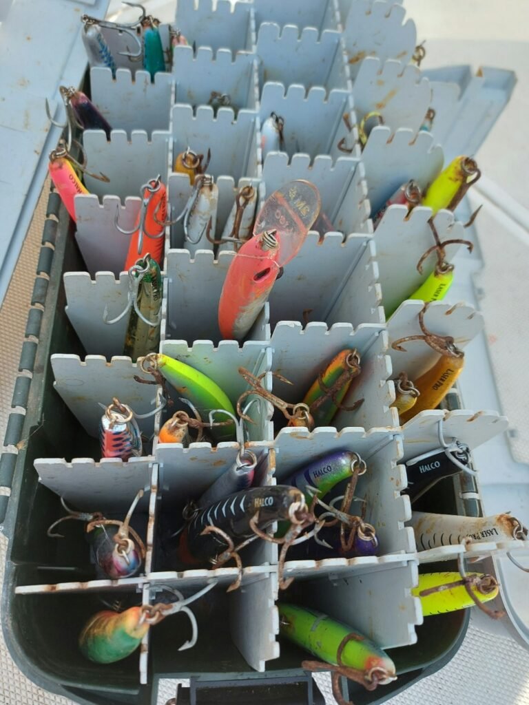 Best Fishing Baits for Beginners (What to Use and Why) Fishing tackle box with a variety of beginner friendly fishing lures and baits