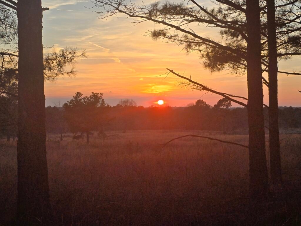 Sunrise over wooded deer hunting terrain often hunted during morning stand setups