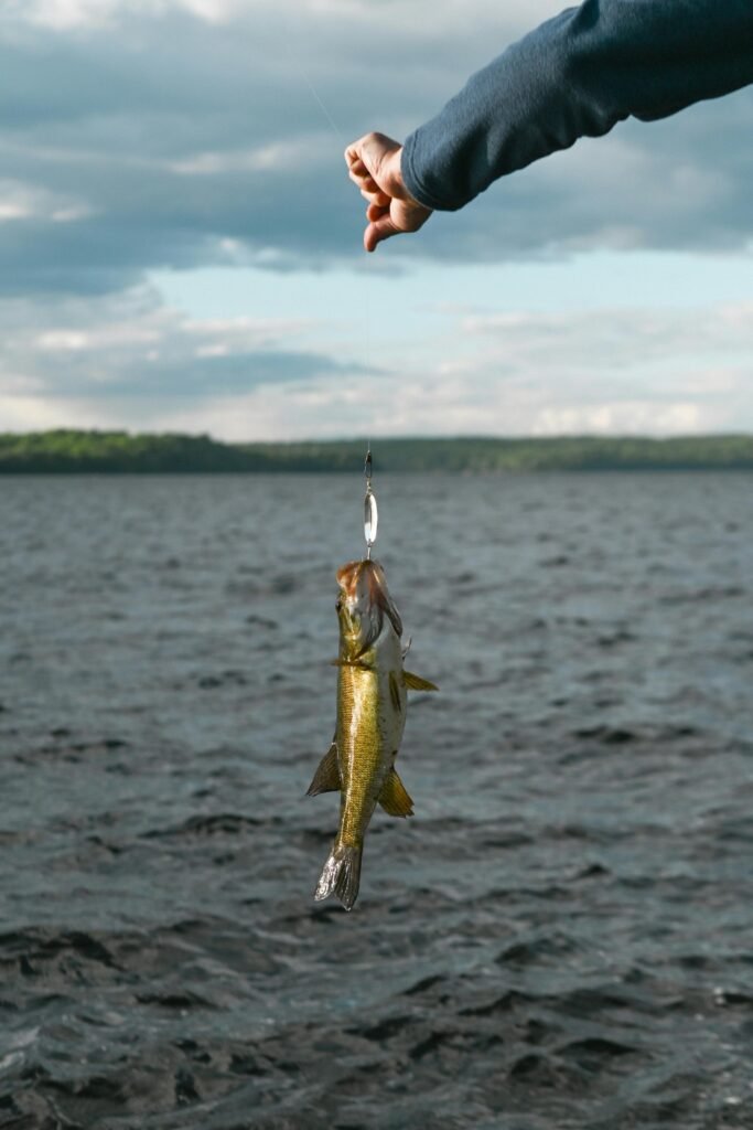 Beginner angler holding a freshly caught bass on a spinner lure over open water